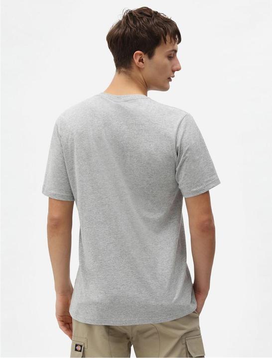 Actual product image Dickies Mapleton T-Shirt (M)