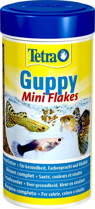 Image du produit Tetra Guppyfood (Guppies, 250 ml)