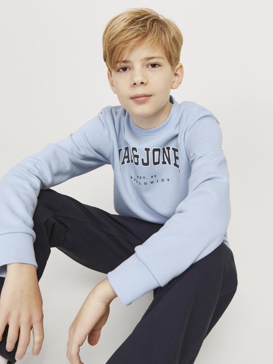 Produktbild Jack & Jones Jjecaleb Varsity Sweat Crew Neck Sn Jnr (176)