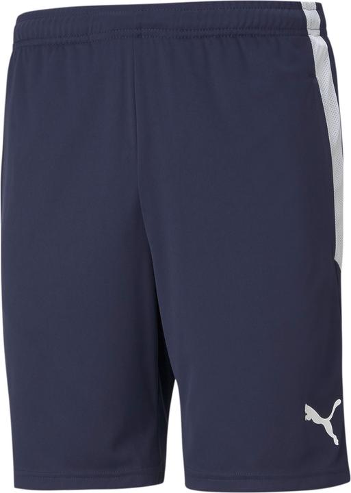 Puma teamLIGA Training Shorts-657249