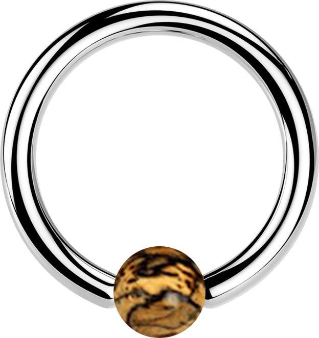Actual product image Star Piercing Ball Closure Ring silver with ball of Tamarind wood bright (Surgical steel 316L, without brass, Organic)
