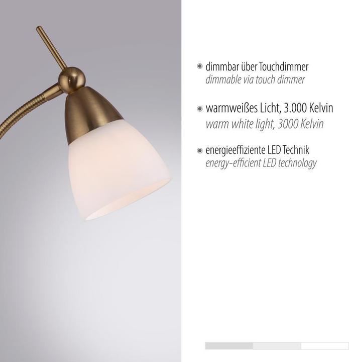 Immagine prodotto Paul Neuhaus Pino (265 lm, G9)