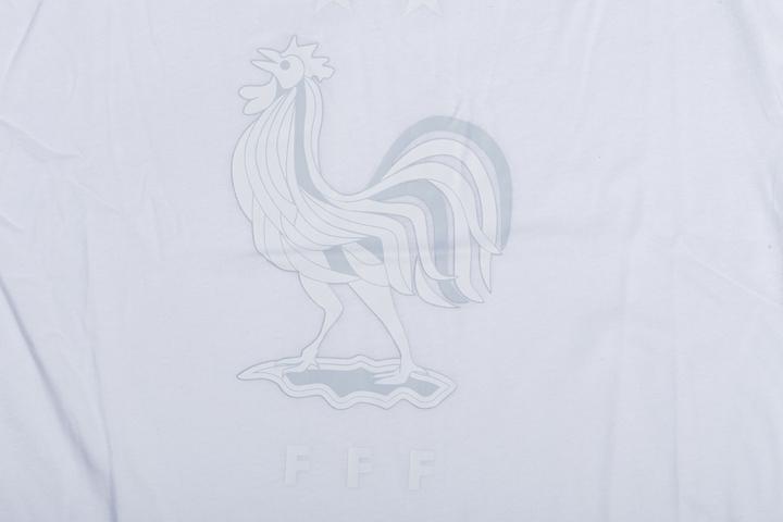 Image du produit Nike France Thé Evergreen Crest - 2020-21 (S)