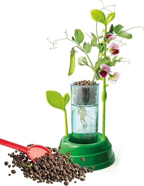 Immagine prodotto Clementoni La Botanica