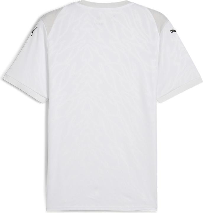 Image du produit Puma teamCUP Jersey (L)