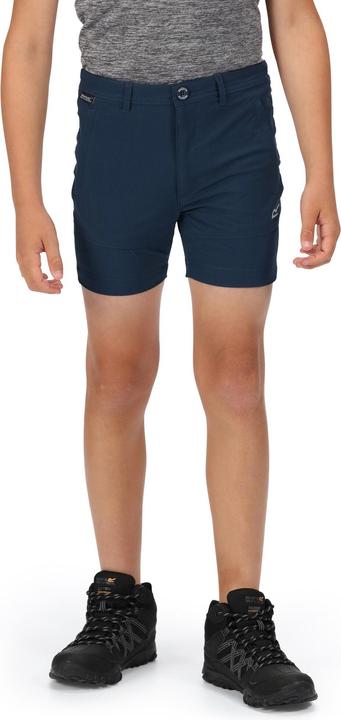 Actual product image Regatta Highton Shorts (140)