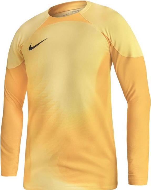 Actual product image Nike Mens Jersey M Nk Dfadv Gardien Iv Gk Jsyls, Tour Yellow/University Gold/Black, DH7967-719, L (L)