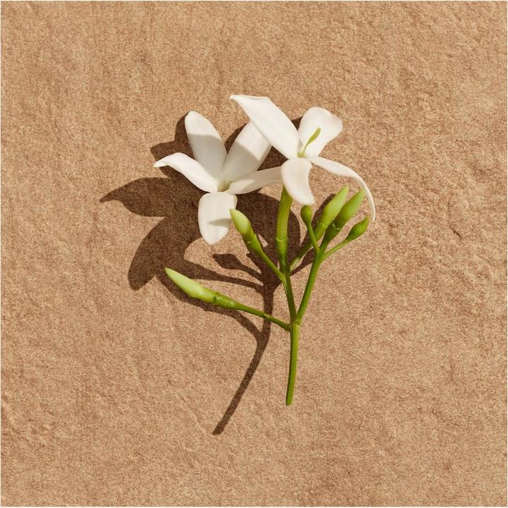 Produktbild Lacoste Pour Femme (Eau de Parfum, 90 ml)