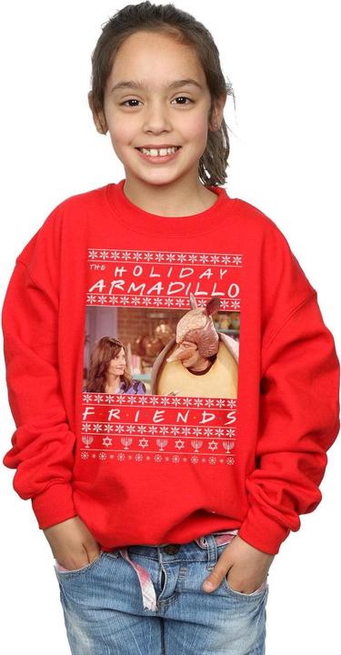 Actual product image Friends Girls Fair Isle Holiday Armadillo Sweatshirt (140, 146)