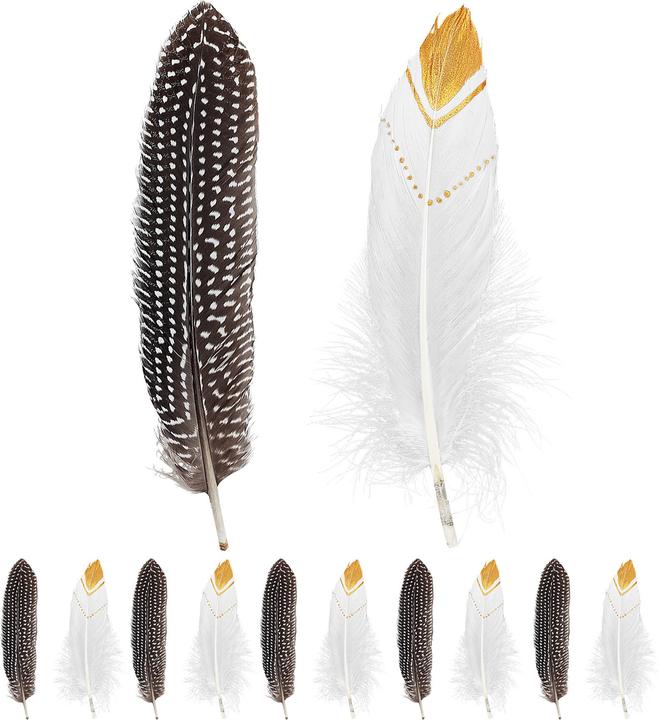 Produktbild Widmann Indianerfedern Set