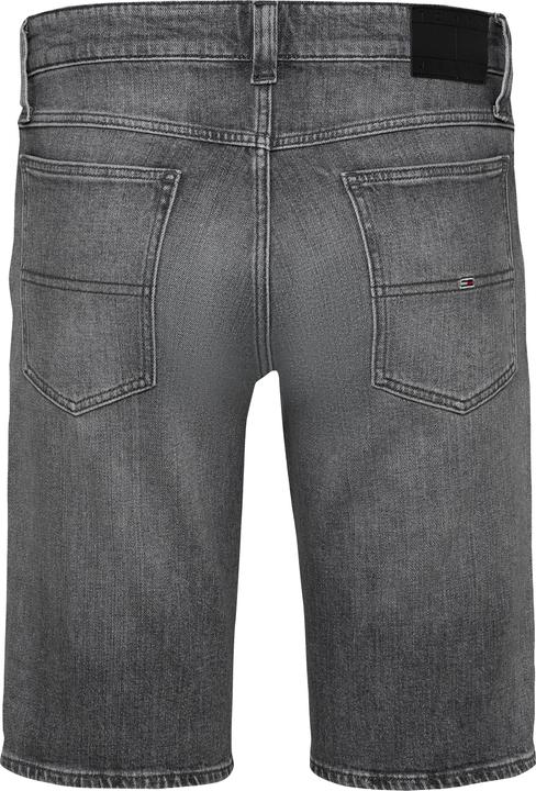 Image du produit Tommy Jeans 10021359 (W33)