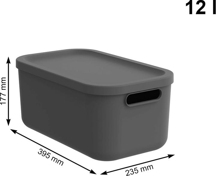 Actual product image Rotho Box12l Albula Anthracite (12 l)