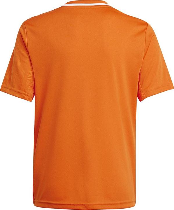 Immagine prodotto adidas Maglia Campeon 25 Bambini (152)