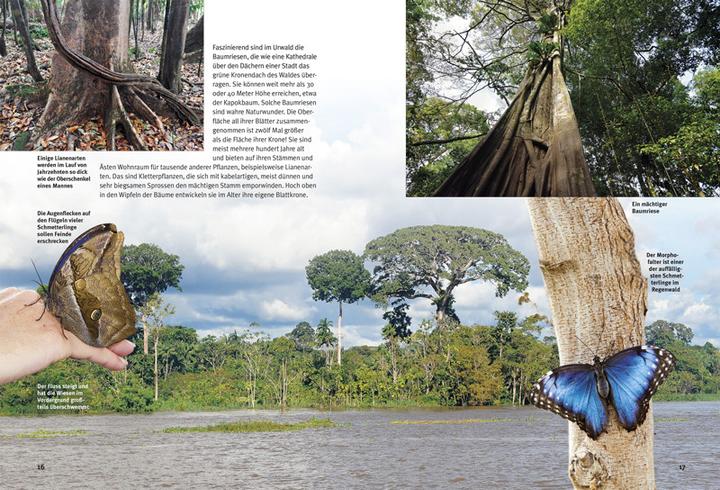 Produktbild Entdecke den Amazonas-Regenwald (Deutsch, Lothar Prof. Dr. Staeck, 2016)