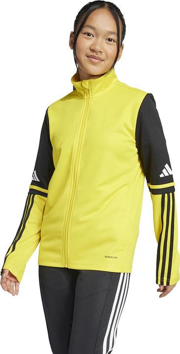 Actual product image adidas Squadra 25 Kids training jacket (176)