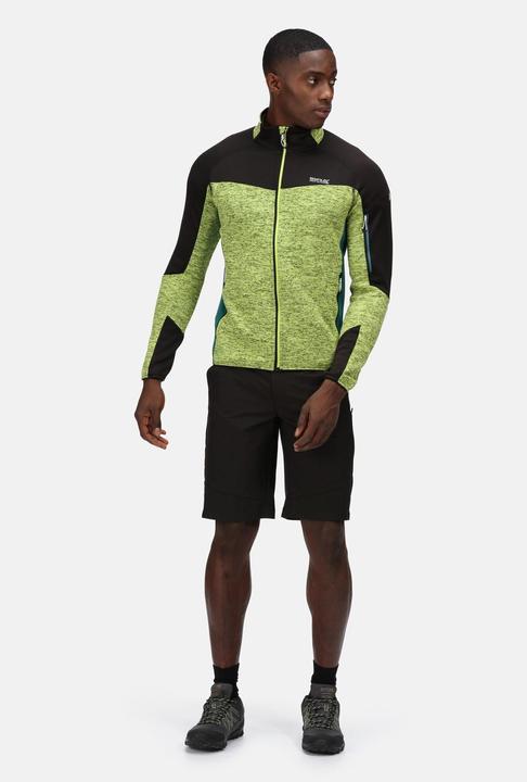 Produktbild Regatta Highton Shorts Wandern (48 D)