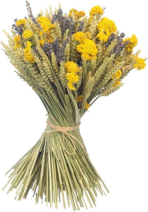 Anjel Dried flowers with cardboard box yellow/blue (Dried flowers)
