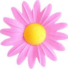 Image du produit Dekora Décoration comestible - Marguerite rose (100p.) (100 x)