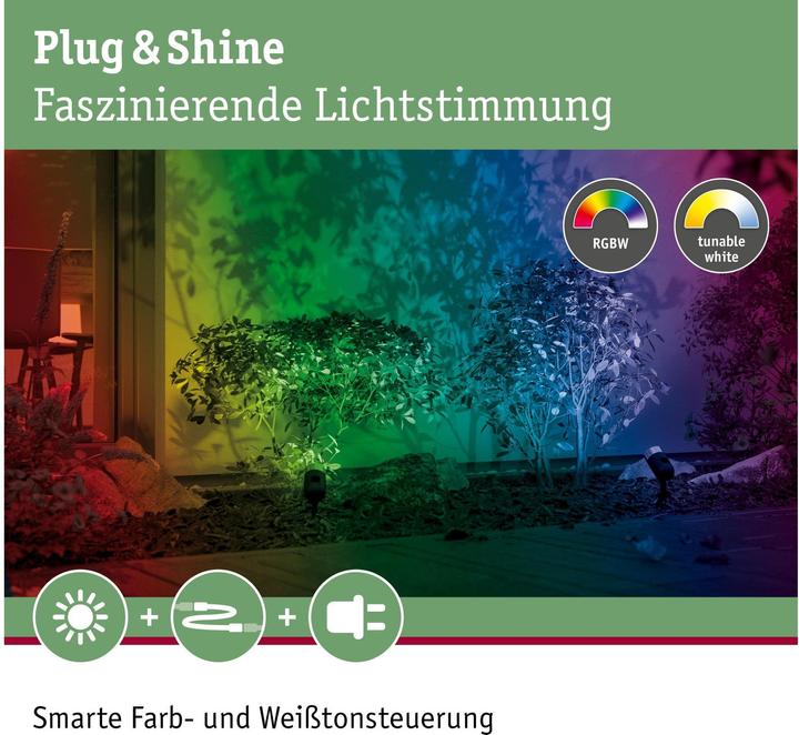 Actual product image Paulmann Outdoor Plug & Shine Pike Starter Set (170 lm, IP44)