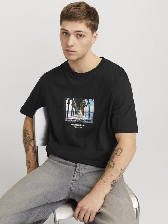 Actual product image Jack & Jones Jorvesterbro Picture Tee Ss Crew Neck Sn (XXL)