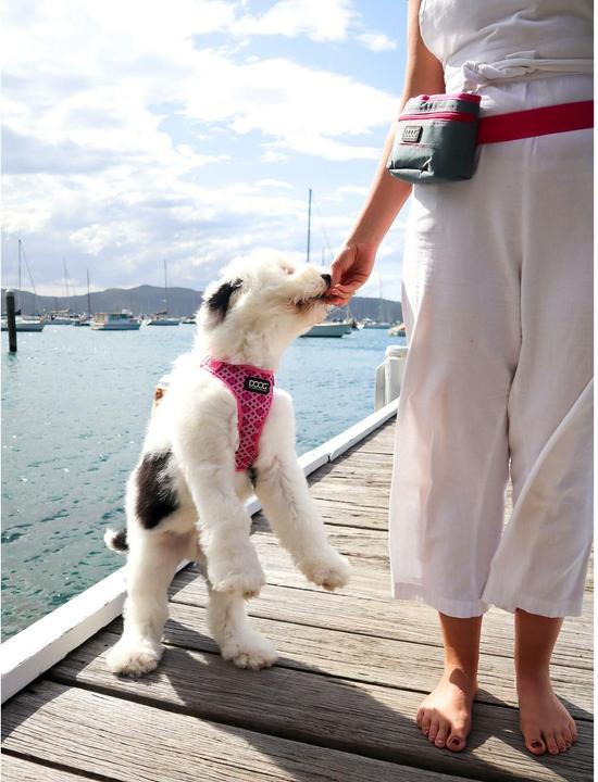 Image du produit Doog Harnais Neoflex Toto XS Rose / Noir (XS, Chien, Général)