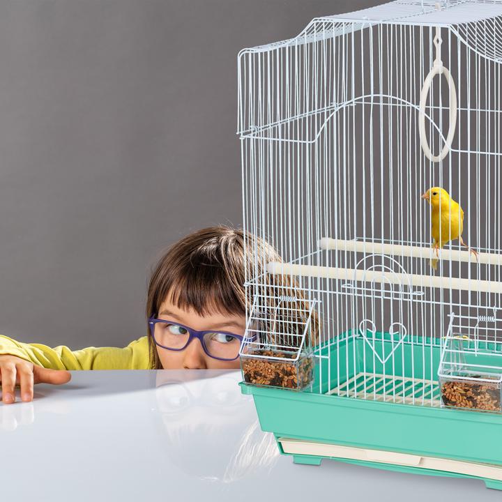 Actual product image Relaxdays Bird Cage