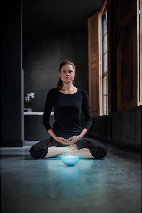 Produktbild Philips Hue Go Basis BT (520 lm)