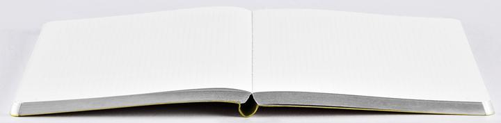 Actual product image Nuuna Notebook (13.5 x 20 cm, Dotted, Hardcover)