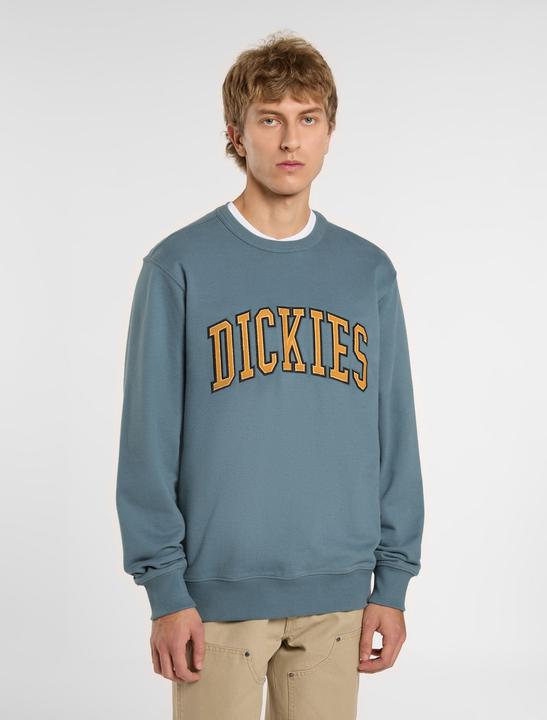 Actual product image Dickies Aitkin Sweatshirt Stormy Weather (M)