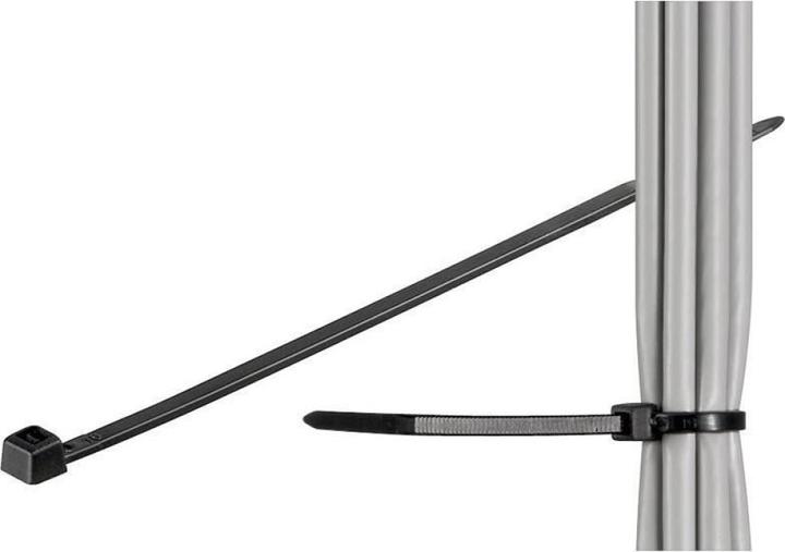 Techly 306356 Nylon cable ties 10 (100 mm, 100 Stk.)