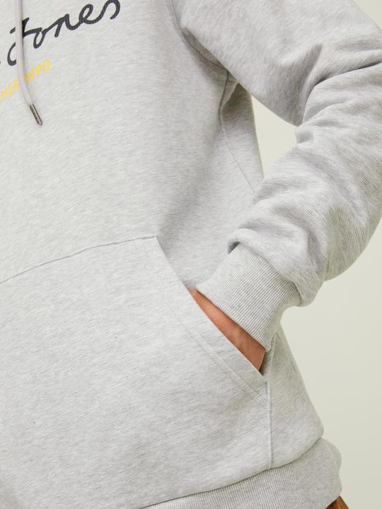 Image du produit Jack & Jones Sweat à capuche avec cordon de serrage (S)