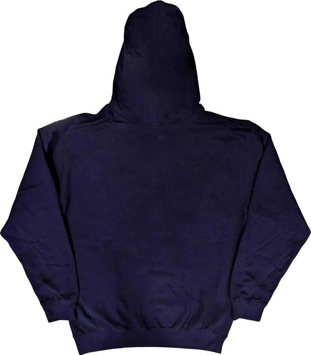 Actual product image Universal Textiles Unisex Adult Boston Pride Hoodie (XL)