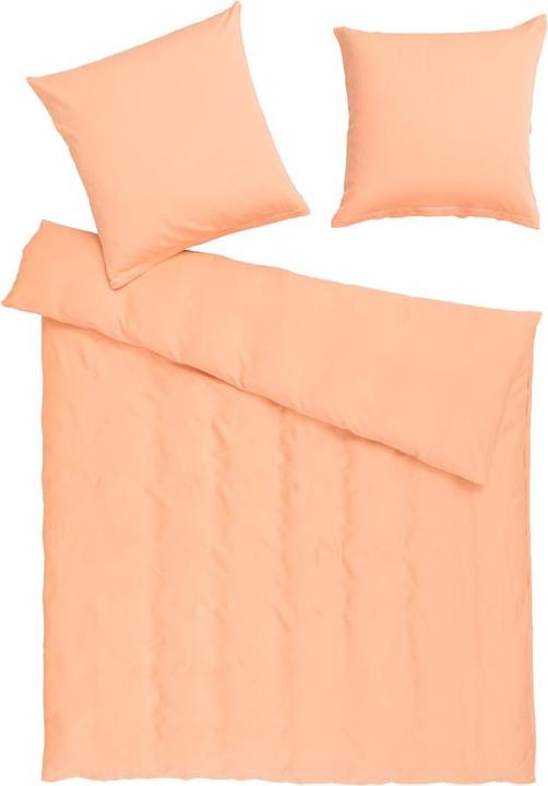 Pêche