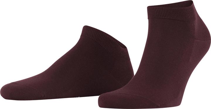 8596 barolo