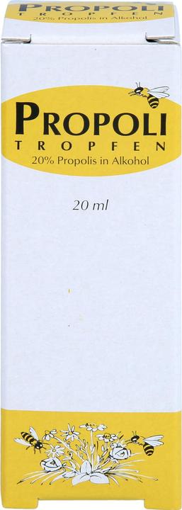 Immagine prodotto Remmele Tropfen 20 % in Alkohol (1 Pezzo/i, Goccia, 67 g)