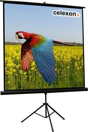 Image du produit Celexon Trépied écologique, écran, 1:1 (86.22", 1:1)