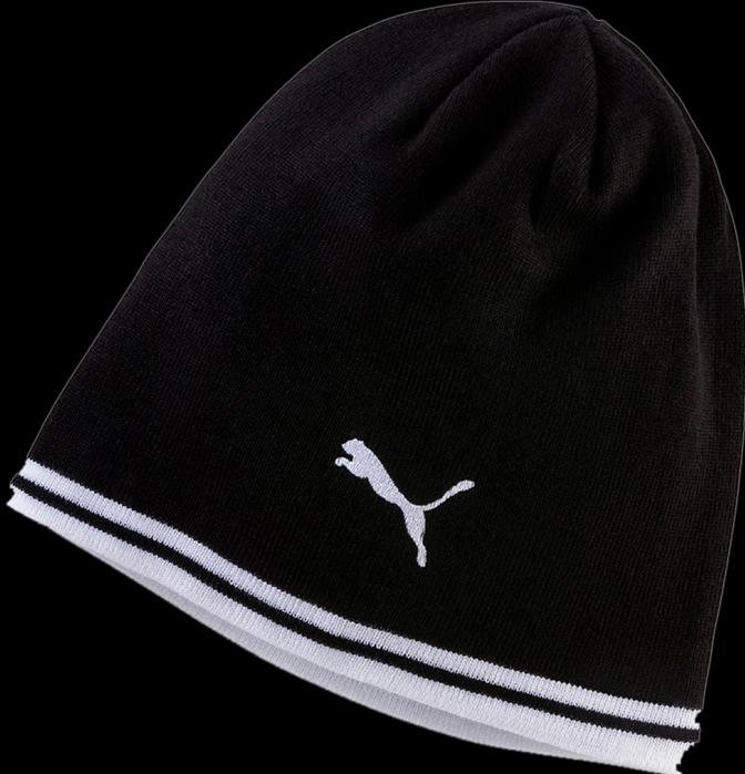 Actual product image Puma Beanie