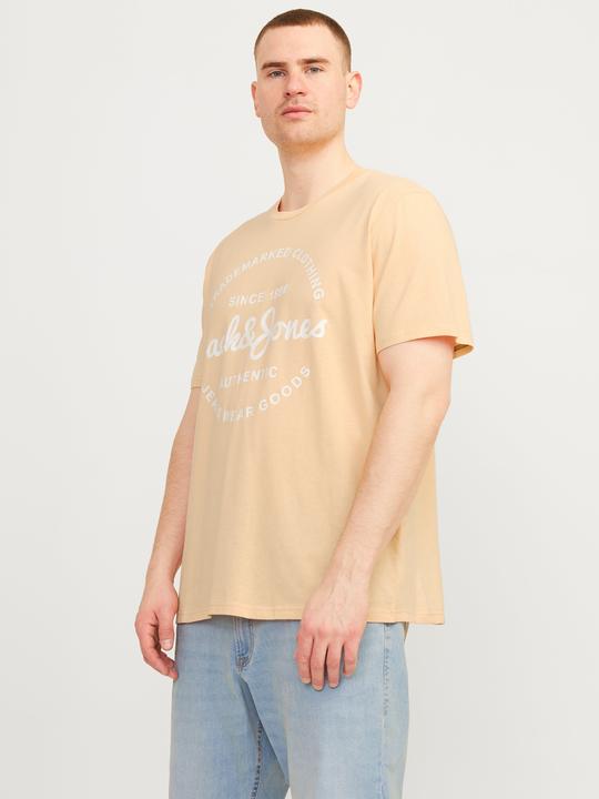 Actual product image Jack & Jones Jjforest Tee Ss Crew Neck 5pk Mp Pls (3XL)