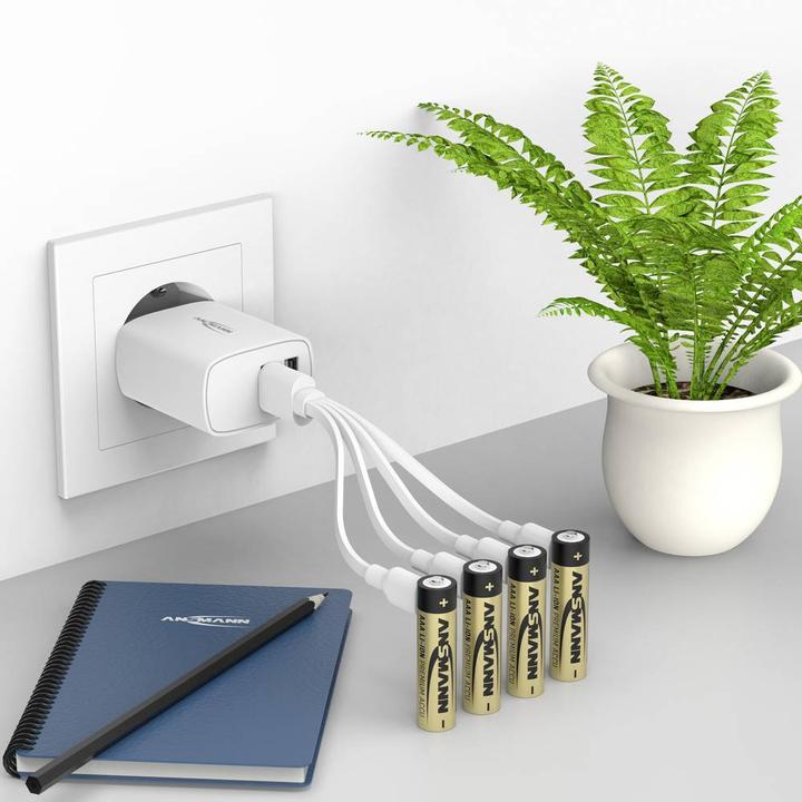 Actual product image Ansmann 1311-0031 Micro (AAA) rechargeable lithium battery 400 mAh 1.2 V 8 pcs. (8 pcs., AAA, 400 mAh)