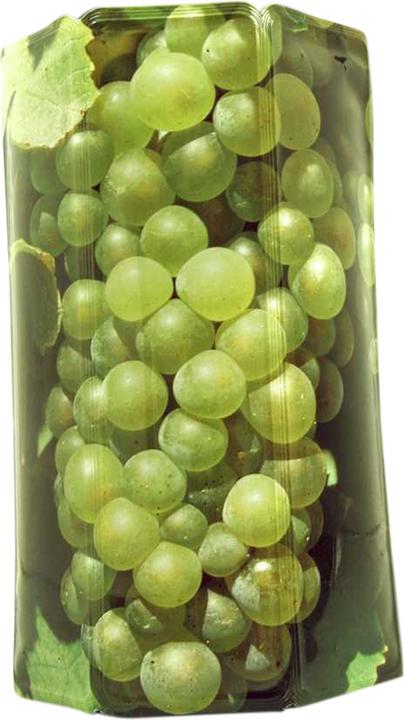 Produktbild Vacu Vin Aktiv Kühlmantel 'grüne Traube'