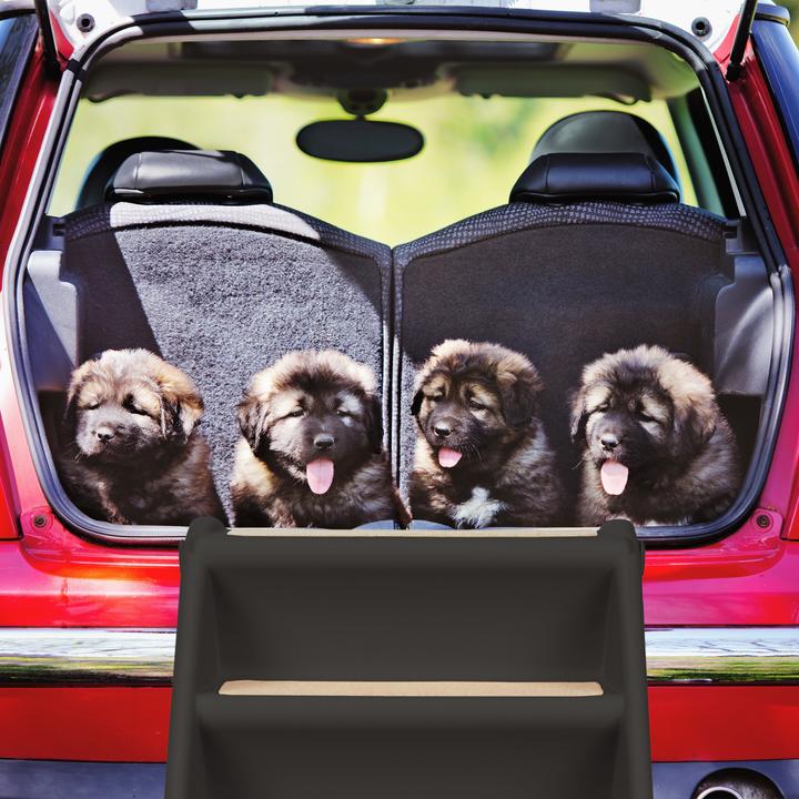 Produktbild Relaxdays Hundetreppe (Hund, Faltbar, Komplett zu öffnen)