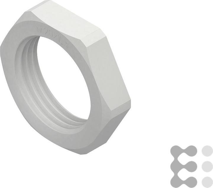 Actual product image HKL hexagon nut (M20)
