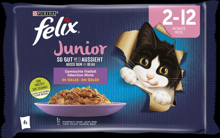 Actual product image Felix Junior (Junior, 4 pcs., 340 g)