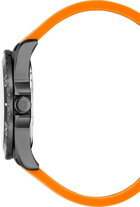 Actual product image Swiss Alpine Military 7029.1879 Raptor men's watch 42mm 10ATM (Swiss made, 42 mm)