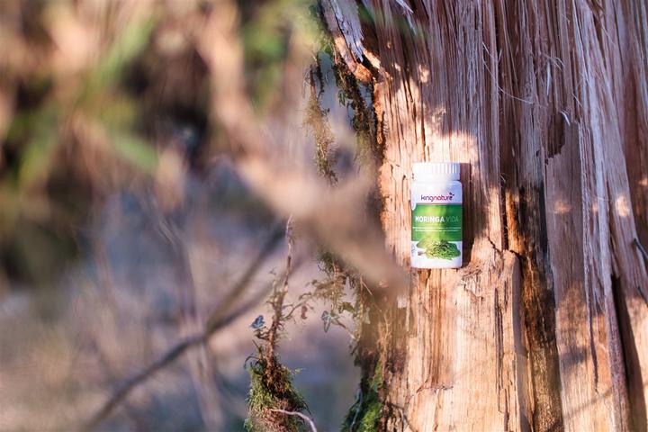 Immagine prodotto Kingnature Moringa Vida (organico) Capsula (72 Pezzo/i, Pillole, 80 g)