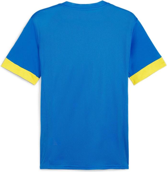 Image du produit Puma teamGOAL Matchday Jersey (M)