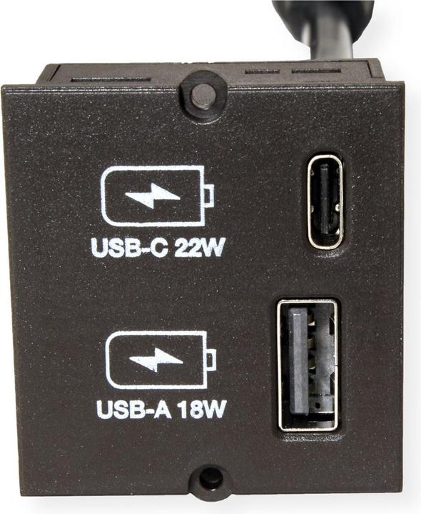 Actual product image Bachmann Custom Module Charger (22 W)