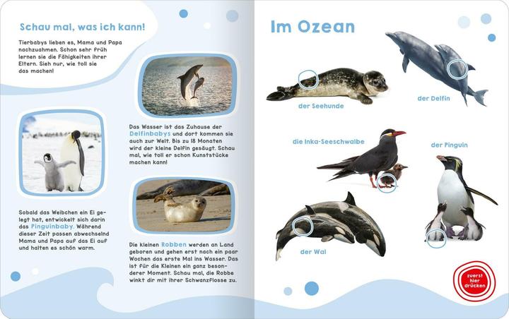 Produktbild Mein grosses Geräuschebuch – Tierbabys (Deutsch)