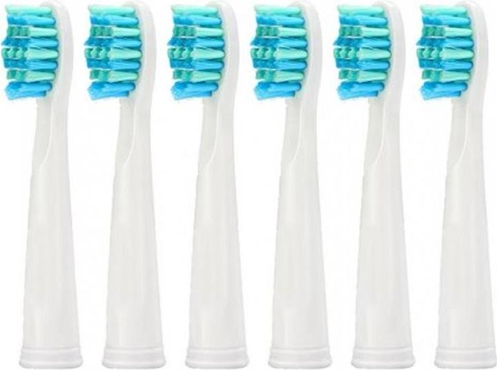 Image du produit Ailoria Têtes de brosse de rechange (6 x)