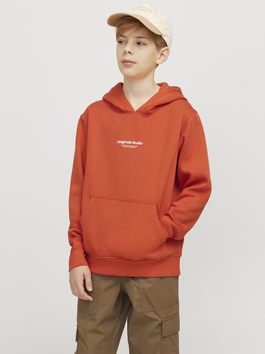 Actual product image Jack & Jones Printed Hoodies For Boys Hoodies (140)